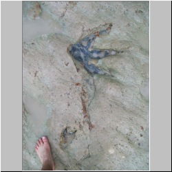 100_0970 (2009-28-07)m.JPG